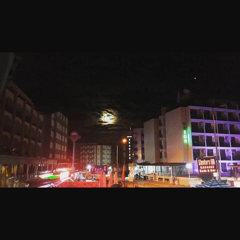 Gokkusagi Hotel Didim Exteriör bild